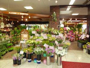 はじめまして＾＾フロールです☆｜「フロール」　（広島県府中市の花キューピット加盟店 花屋）のブログ